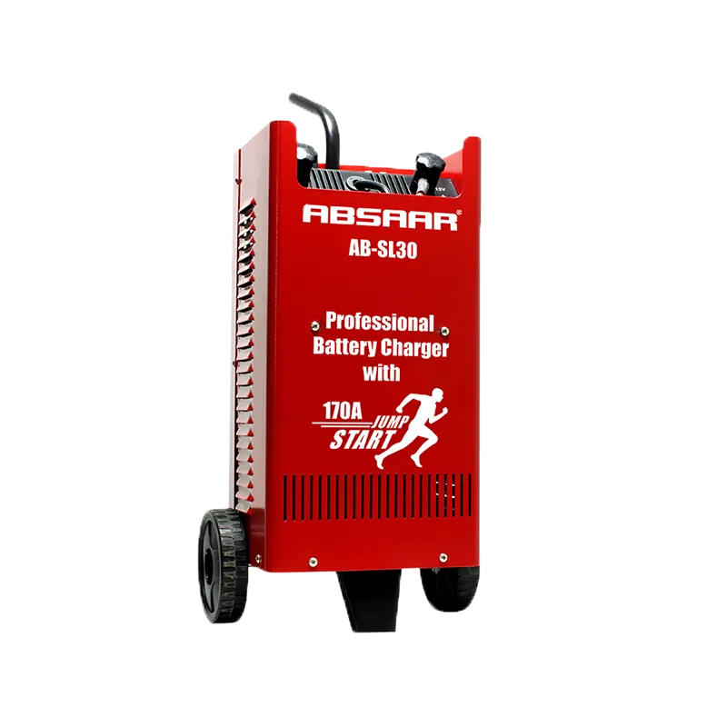 Absaar Professional Ladegerät 30AH